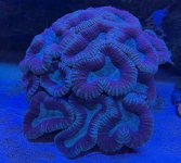 Screen Shot 2025-12-10 at 8.44.31 AM copy.jpg