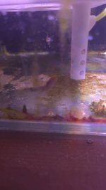 20250409_193147.jpg 20250409_193147.jpg