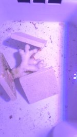 20250409_193234.jpg 20250409_193234.jpg