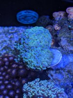 PXL_20250829_200654010 (1).jpg