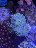 PXL_20250829_200715140 (1).jpg