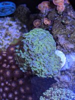 PXL_20250829_200720440 (1).jpg