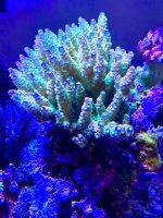 IMG_3682.jpeg