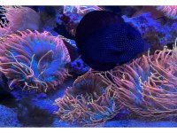 IMG_6244.jpeg