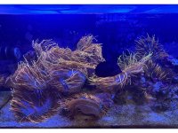 IMG_6246.jpeg