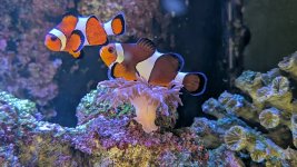 2026-04-08 08.50.22.jpg