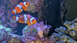 2026-04-08 08.50.28.jpg