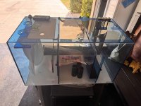 IMG_6024.jpeg