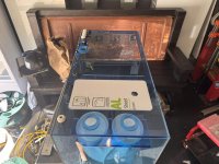 IMG_6019.jpeg