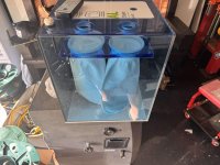 IMG_6023.jpeg