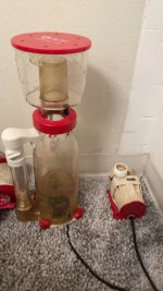 IMG_7968.jpeg