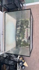IMG_7964.jpeg