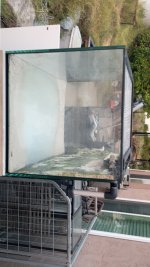 IMG_7966.jpeg