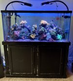 tank w stand.jpg