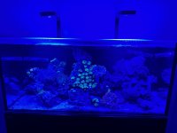 IMG_0534.jpeg