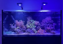 IMG_0498.jpeg