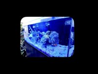 IMG_2652.jpeg