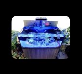IMG_2656.jpeg