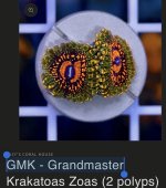 IMG_4373.jpeg