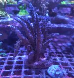20260821_205019.jpg