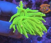 1000030348.jpg
