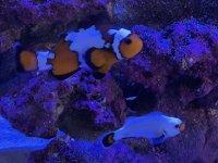 IMG_5297.jpeg