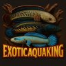 exoticaquaking